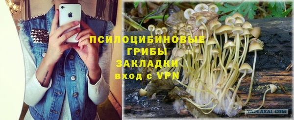 бутират Верхний Тагил